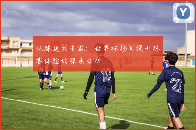 从球迷到专家：世界杯期间提升观赛体验的深度分析