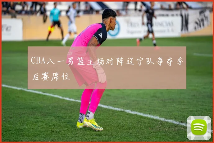 CBA八一男篮主场对阵辽宁队争夺季后赛席位